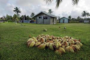 kokospalm in aitutaki lagune Cookeilanden foto