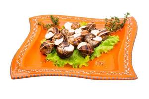 Escargots op het bord en witte achtergrond foto