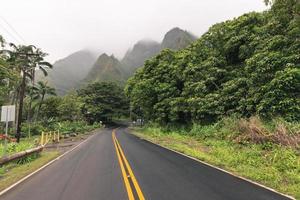 iao valley staatspark op Maui Hawaï