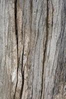 hout textuur. abstracte houtstructuur achtergrond. foto