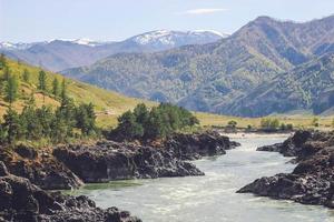 berg met rivier- en boslandschap. wilde rivier in de bergen. zomerlandschap in altai, siberië. foto