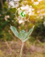 esg pictogram concept milieu en bestuur in duurzaam op een groene achtergrond. foto