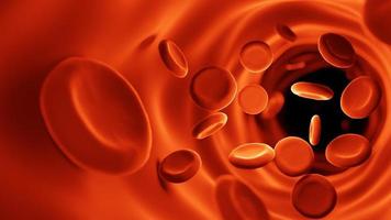 rode bloedcellen in de bloedbaan. geneeskunde en biologie wetenschappelijk onderzoek, rode bloedcellen in ader of slagader, stromen binnen in een levend organisme.seen micro.3d rendering illustratie. foto