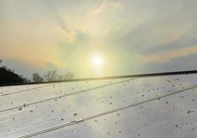 fotovoltaïsch paneel op het dak van het gebouw dat vuil is van stof, vogels op het oppervlak laten vallen foto