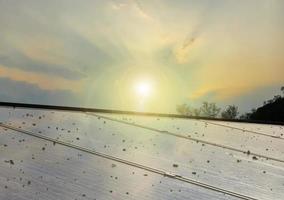 fotovoltaïsch paneel op het dak van het gebouw dat vuil is van stof, vogels op het oppervlak laten vallen foto