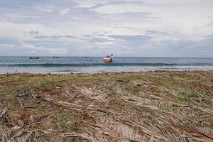 gedroogde kokosbladeren gerangschikt aan de kust foto