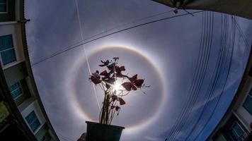 natuurzon halo in de tuin foto