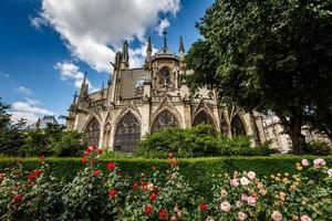 Notre Dame de Paris kathedraal met rode en witte rozen foto