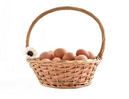 eieren in mand gevuld geïsoleerd op witte achtergrond foto