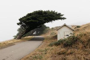 point reyes nationale kust foto