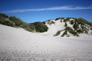 uitzicht over zandduin strand onder de blauwe hemel foto
