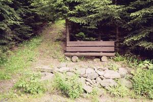 houten bankje in het bos foto