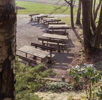 zetels in de natuur foto