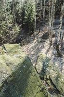 rotsen in het bos foto