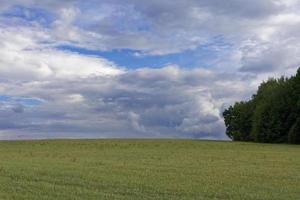 een zomers landschap met weilanden en wolken foto