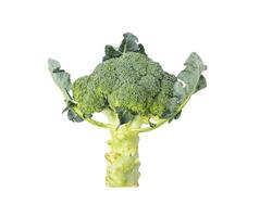 broccoli of italiaanse bloemkool gerangschikt in kruisbloemige groenten. foto