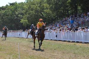 paardenrenbaan 09.2020 augustus sault, frankrijk foto