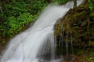 na de regen foto