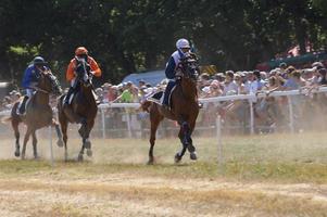 paardenrenbaan augustus 08.2017 sault, frankrijk foto