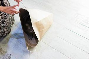 knorrige kat verstoppertje spelen in een papieren zak foto