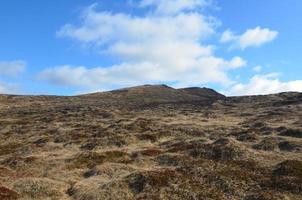 schilderachtige graslanden en velden op het platteland van IJsland foto