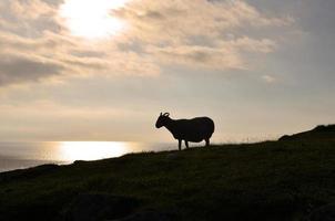 prachtig uitzicht op het landschap voor de kust van het eiland Skye foto