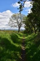 onverhard voetpad door het platteland van Noord-Engeland foto