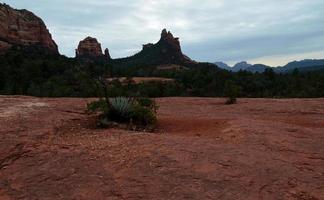 prachtig rood rotslandschap in sedona, arizona foto