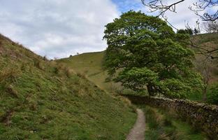 ruig onverhard wandelpad door een landelijk gebied foto