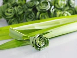 groene bladeren handgemaakte roos pandanus amaryllifolius kom pandanales foto