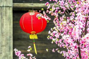chinees rood latern foto