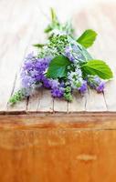 bosje aromatische kruiden: lavendel, salie, munt, tijm foto