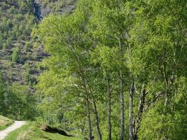 flam in noorwegen foto