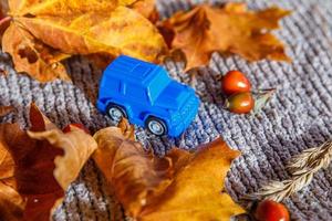 herfst achtergrond. blauwe speelgoedauto en gedroogde oranje herfst esdoorn bladeren op grijze gebreide trui. Thanksgiving banner kopie ruimte. hygge mood koud weer leveringsconcept. hallo herfstreizen. foto