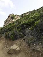 het eiland corsica foto