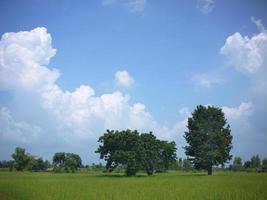 behang van groen landschap en blauwe lucht heldere levendige kleuren foto