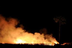 bosbrand brandende oranje en rode rook vulde de lucht 's nachts. foto