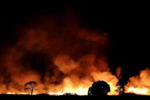 bosbrand brandende oranje en rode rook vulde de lucht 's nachts. foto