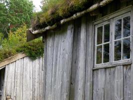 schimmel in noorwegen foto