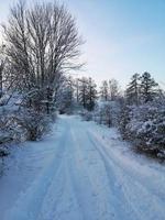 de weg in de winter tussen de bomen foto