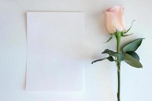 roze roos en blanco papieren mockup foto