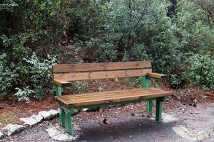 bankje voor rust in het stadspark foto