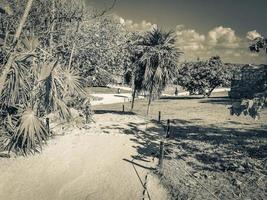 oude tulum ruïnes Maya site tempel piramides artefacten zeegezicht mexico. foto