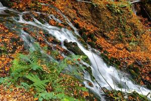 waterval in yedigoller nationaal park, bolu, turkije foto