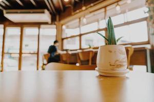 plant in pot decoratie op tafel foto