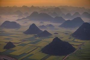 geel koolzaadbloemveld in luoping, china foto