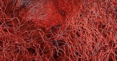 systeem veel kleine haarvaten vertakken uit de grote bloedvaten foto