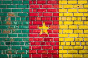 Kameroen vlag op een grunge baksteen achtergrond. foto