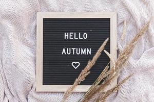 herfst achtergrond. zwarte letter bord met tekst zin hallo herfst en gedroogd gras liggend op witte gebreide trui. bovenaanzicht, plat gelegd. dankzegging banner. hygge mood koud weer concept foto