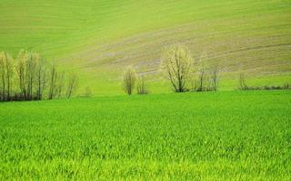 lente kleur thema foto